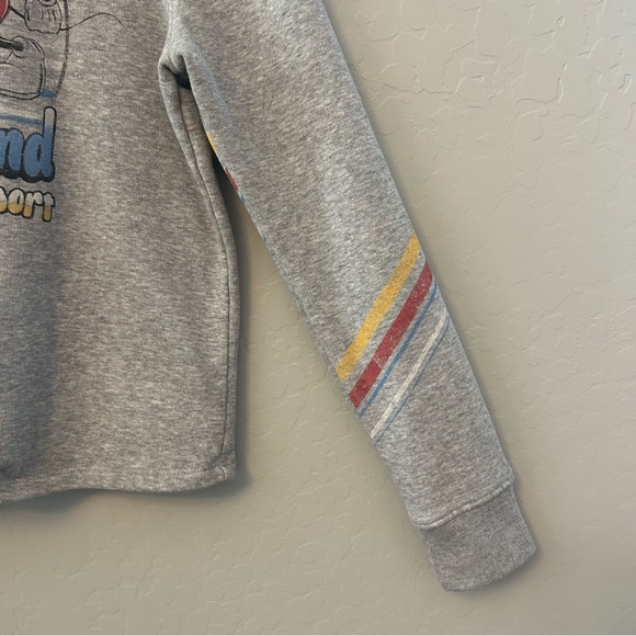 ⭐️Disney Parks Disneyland resort vintage look crop hooded sweatshirt size medium - Picture 10 of 16